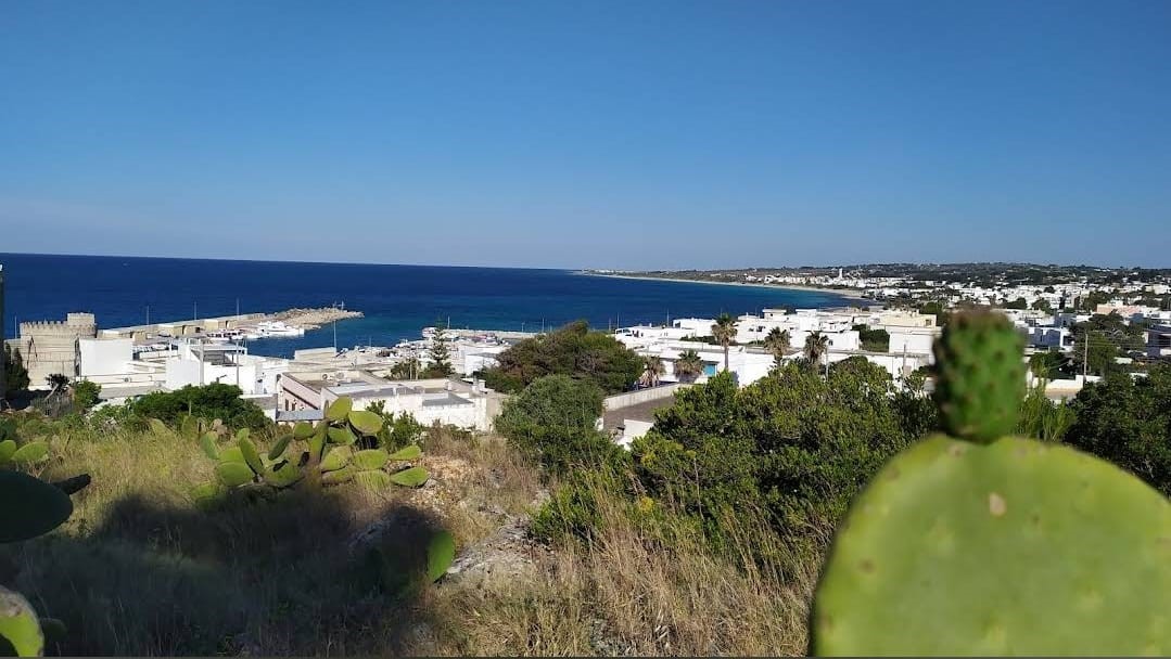 Giano Group Immobiliare